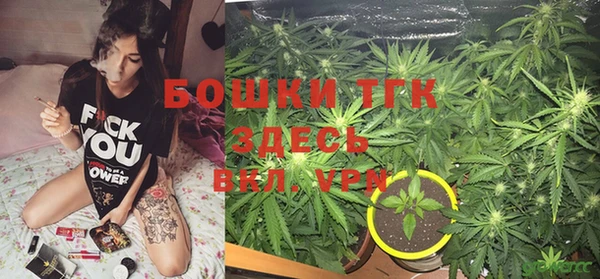 стаф Нея