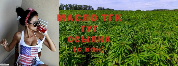 стаф Нея