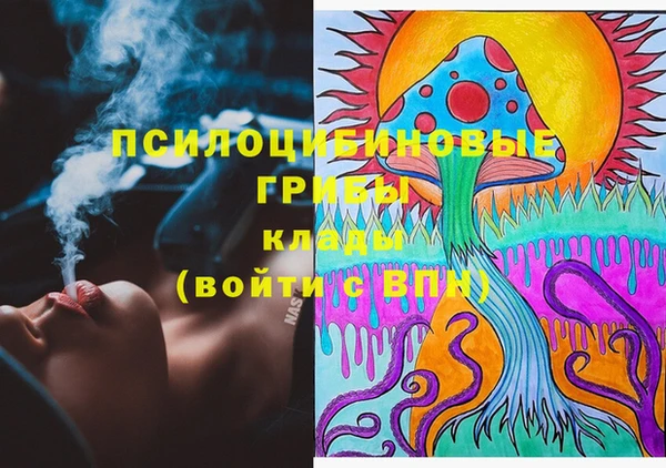 спиды Бикин