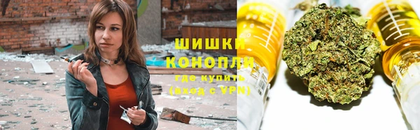 стаф Нея