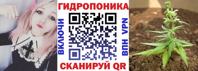 Канабис сатива  MEGA ССЫЛКА  Межгорье 